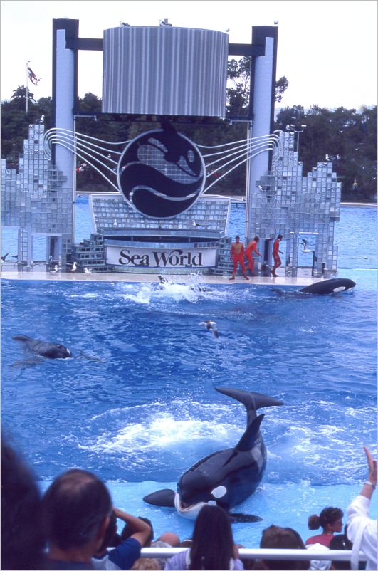 San Diego Sea World